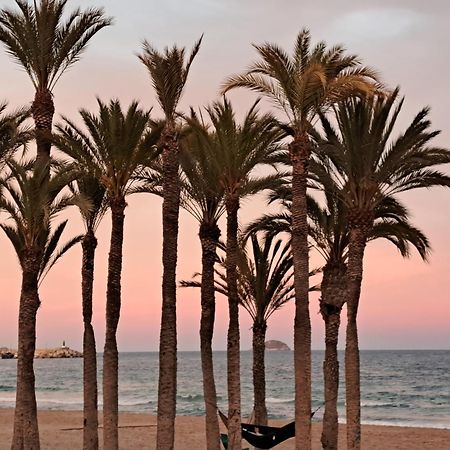 Atico Roof Top Torrevieja Dış mekan fotoğraf