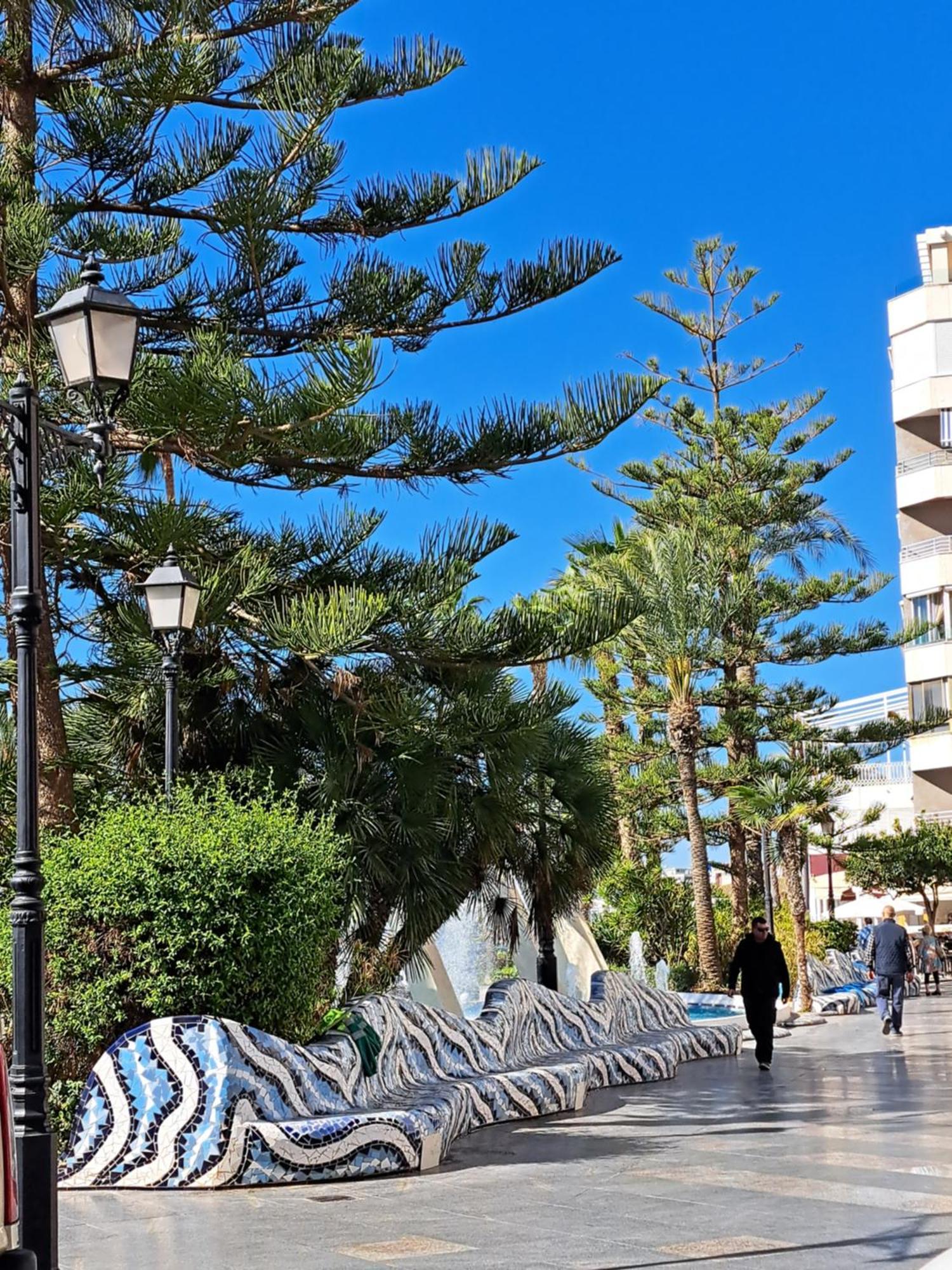 Atico Roof Top Torrevieja Dış mekan fotoğraf