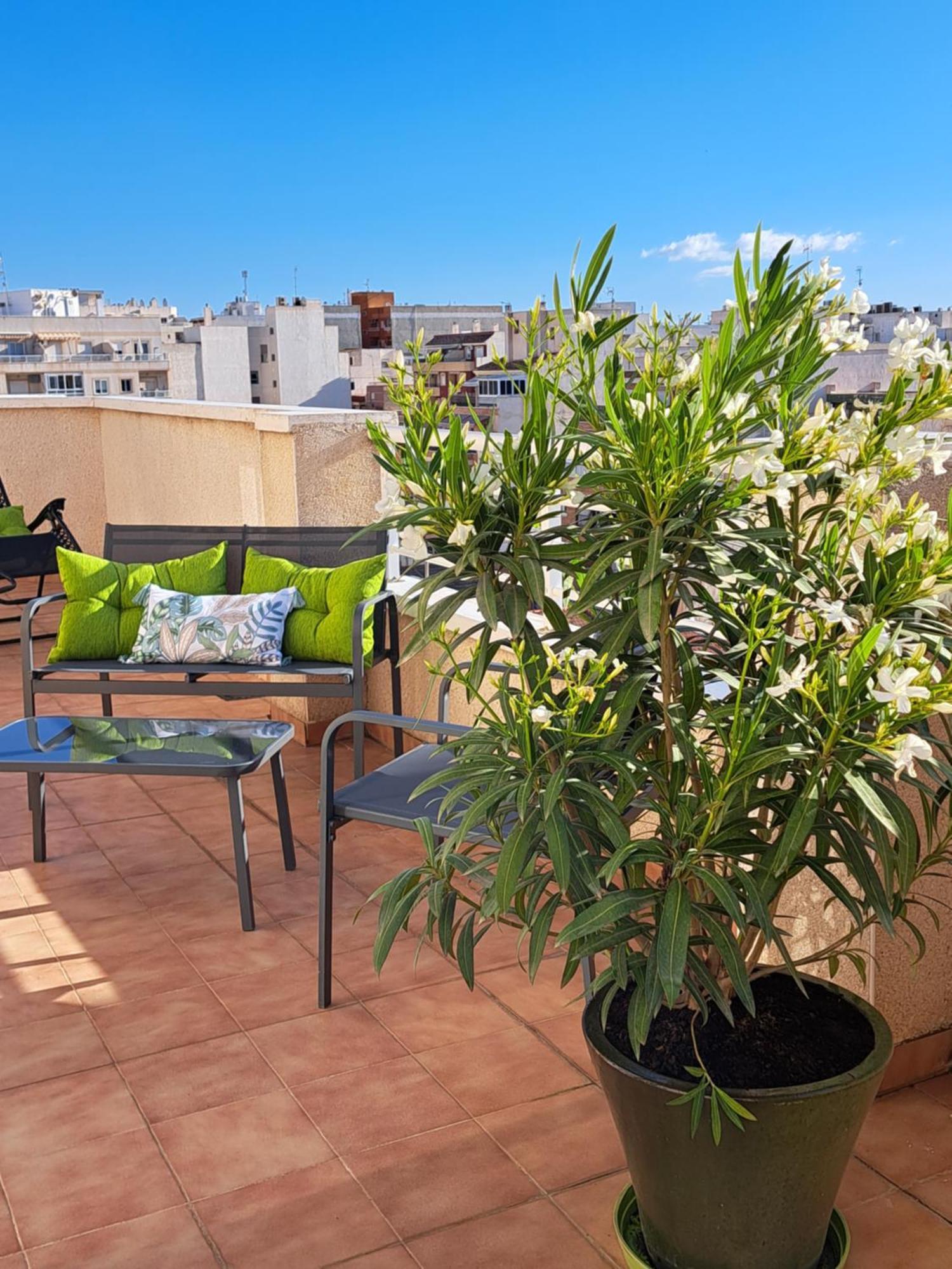 Atico Roof Top Torrevieja Dış mekan fotoğraf